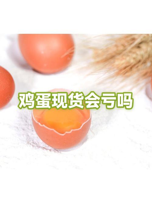 养鸡赚鸡蛋的软件截图