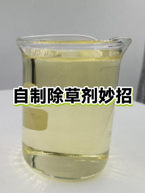 除草有什么好妙招