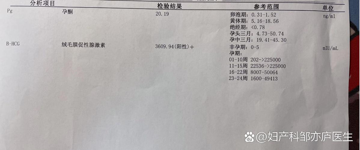 检查结果是一条横线