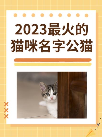 养了个猫2023最新版