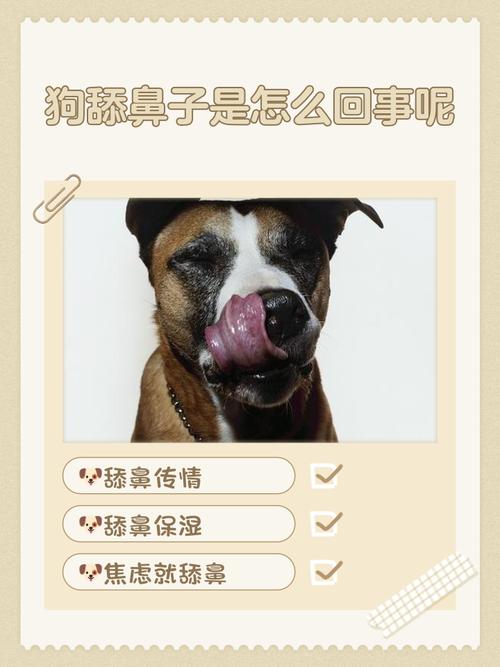 总是亲狗狗鼻子有影响吗图标