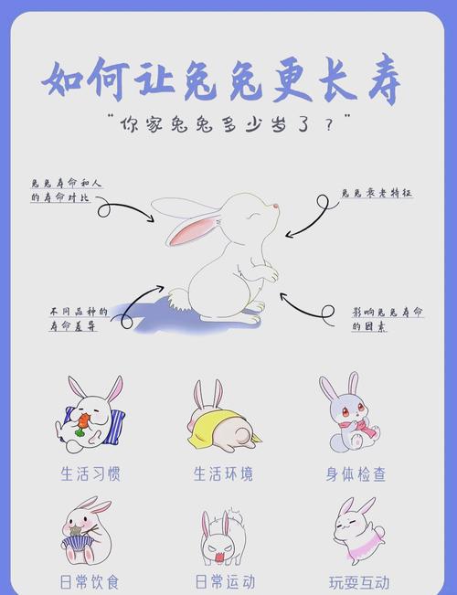 奥多拉萌兔说明书