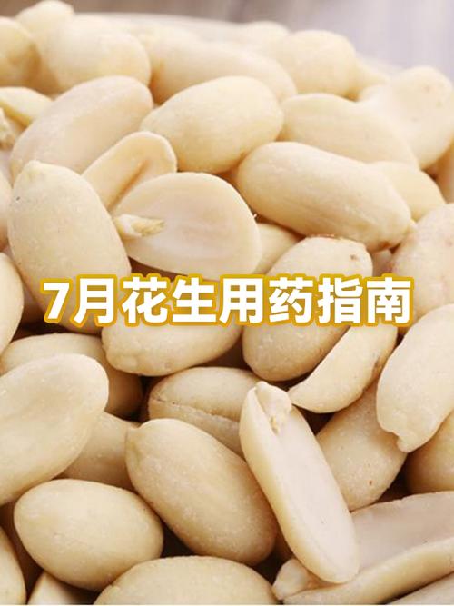 花生瓜子怎么保存截图