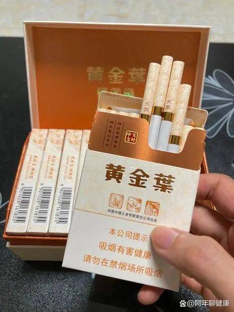 黄金叶哪里抽的多