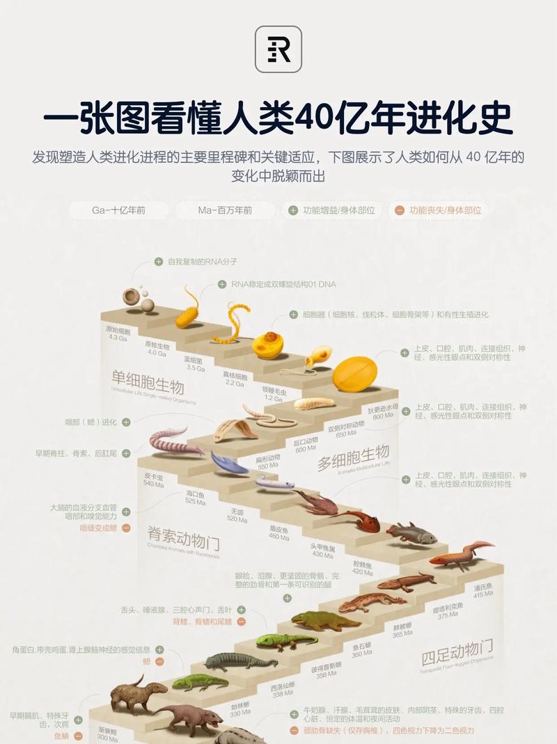 萌龙进化论国际服游戏截图