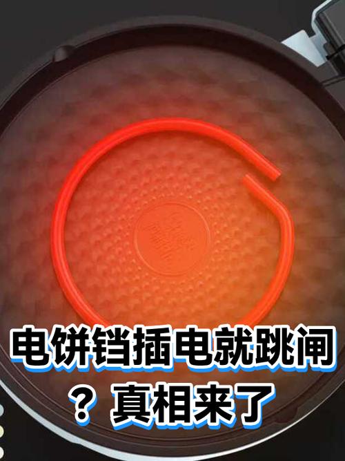 电饼铛插上就跳闸怎么回事游戏截图