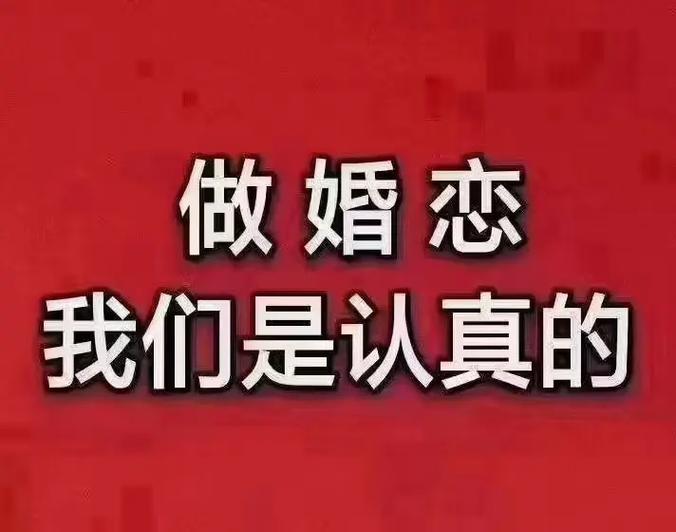 婚恋交友游戏截图