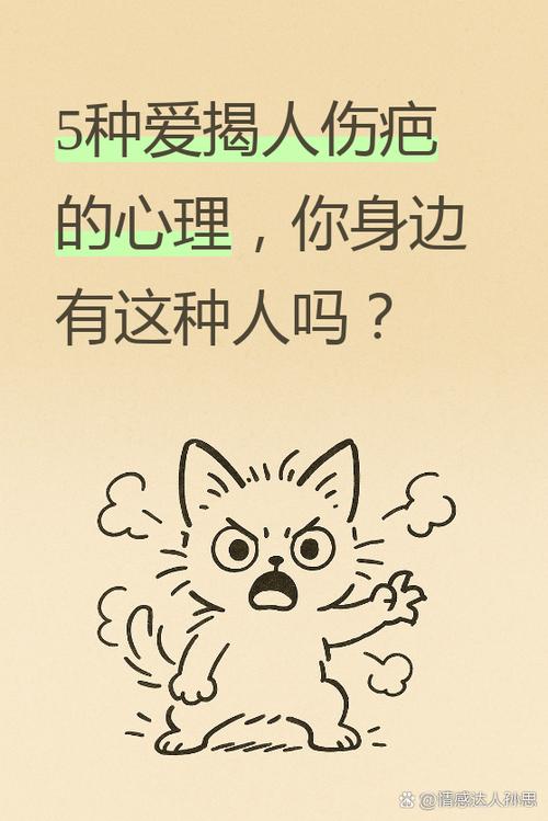 故意揭你伤疤的朋友
