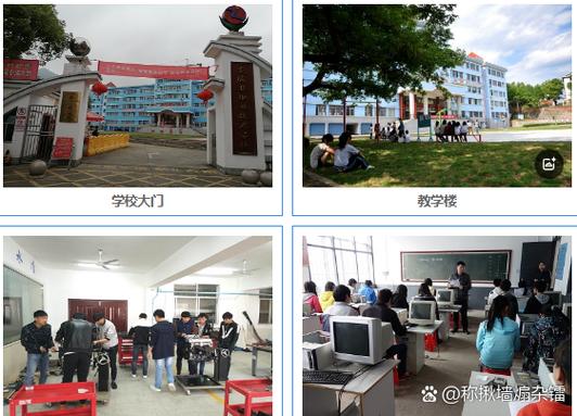 学职平台职业测评截图