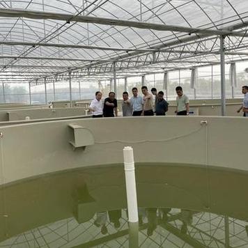 水库养鱼的成本与利润缩略图