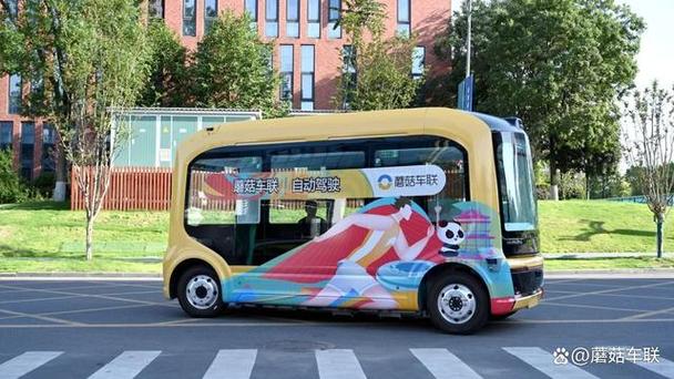 蘑菇车联流量截图