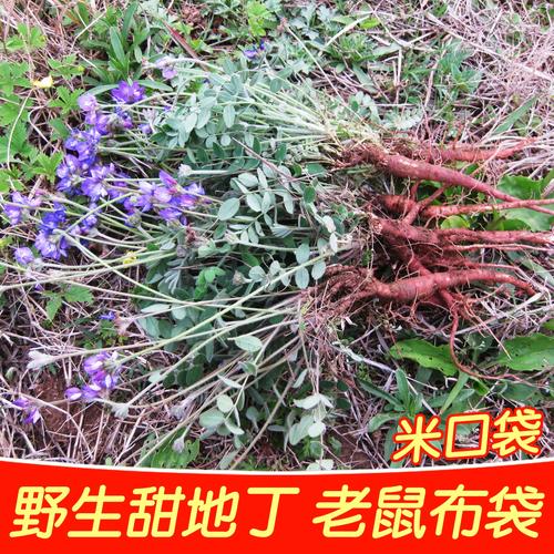 久久口袋青草帽系列借款客户回访情况