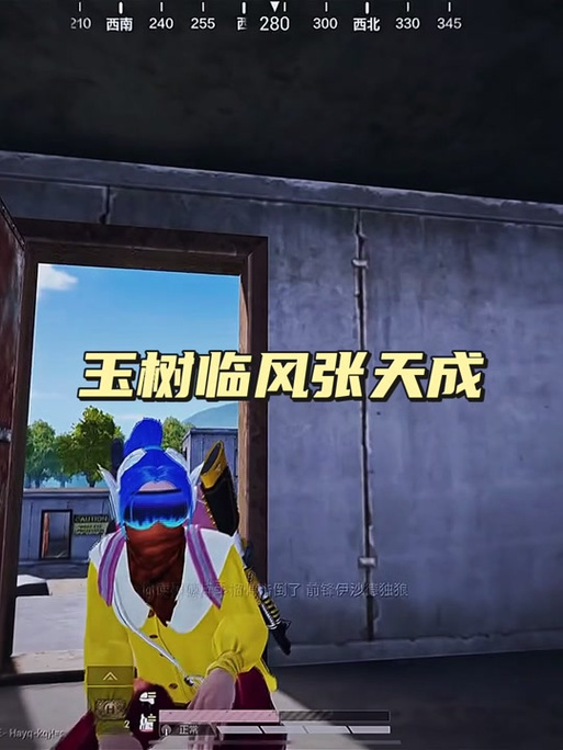 乔乐vS张天成