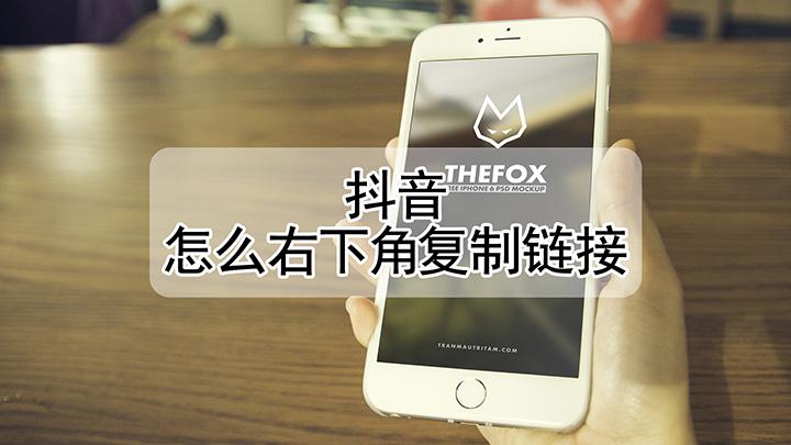 抖音视频复制链接在哪里找