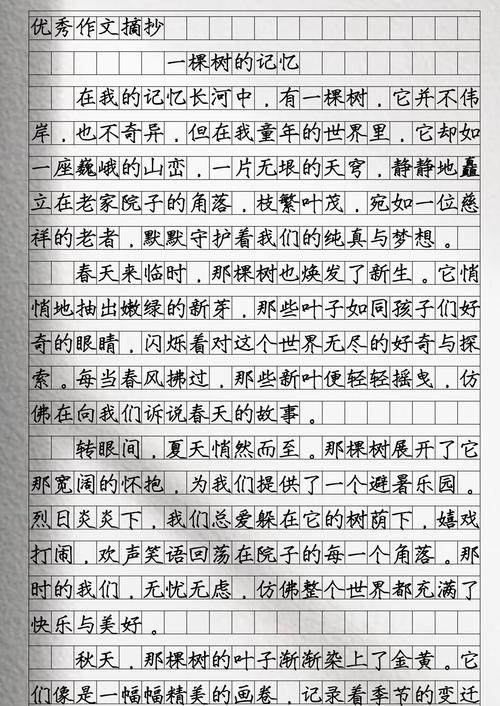 一颗树小说林丁火txt