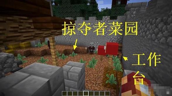 我的世界如何驯服掠夺者