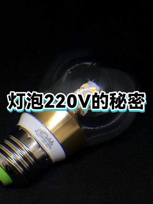 美国灯泡在中国能用吗