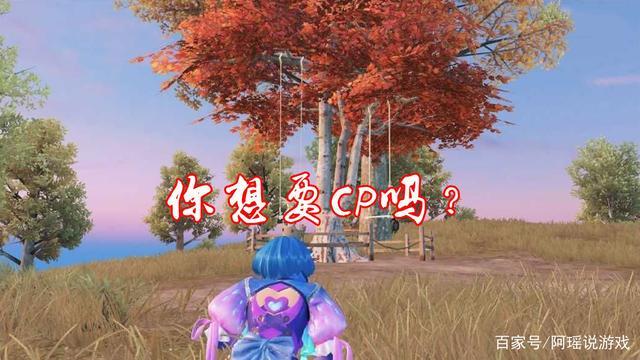 吃鸡里面的cp是什么意思