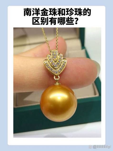 南洋金珠多少钱一颗截图