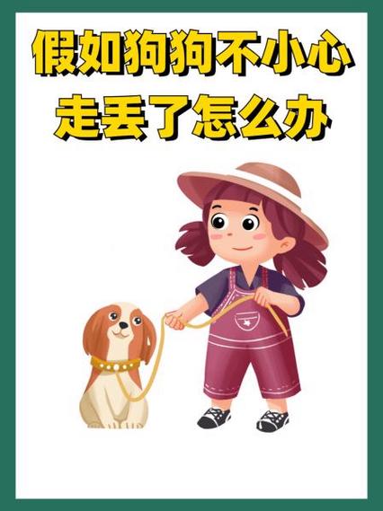 狗走失了怎样能找回来