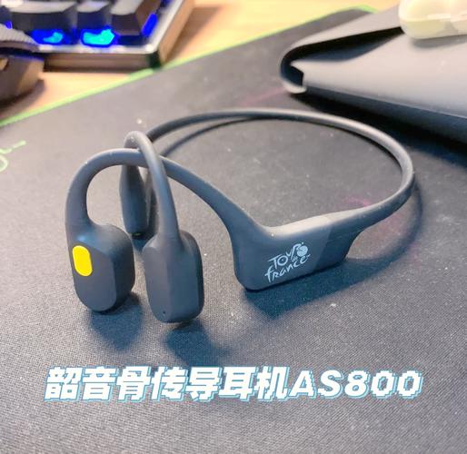 韶音as800一拖二截图
