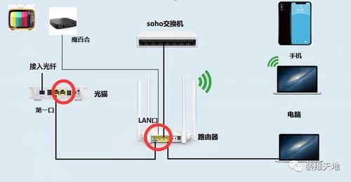 网络机顶盒怎么投屏