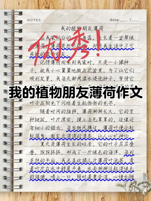 薄荷短文阅读图标