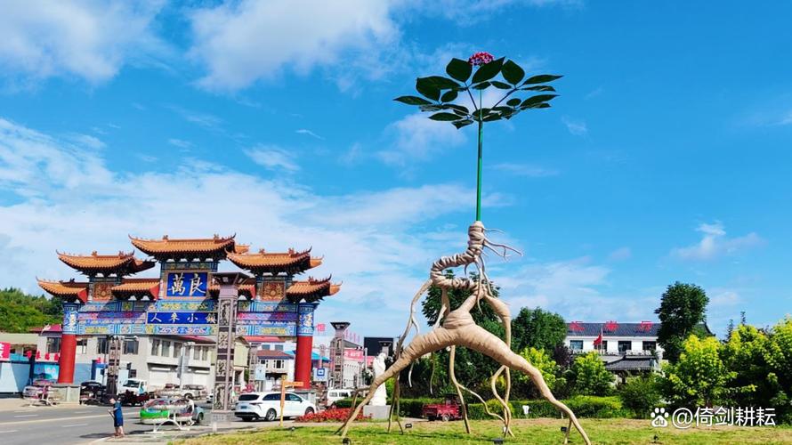 中国中草药之乡图标