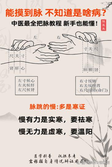 中医把脉入门必背口诀
