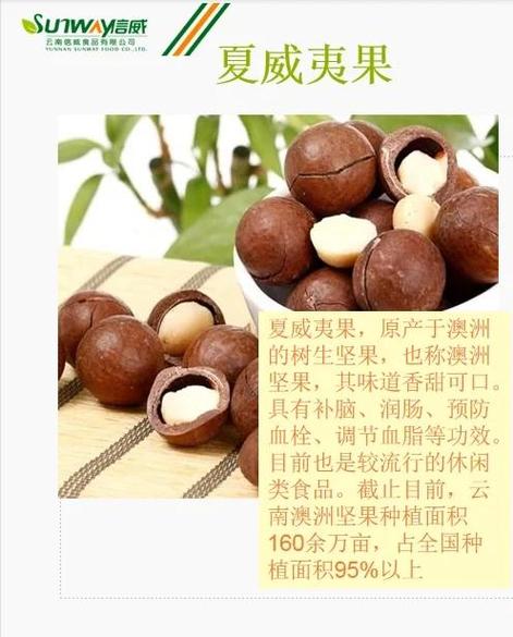 坚果售后服务人工电话