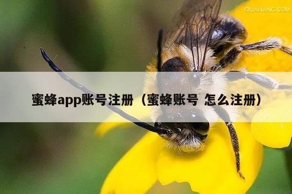 蜜蜂app怎么注册账号截图