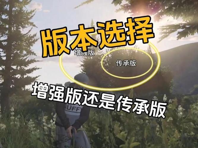 增强版和传承版的区别