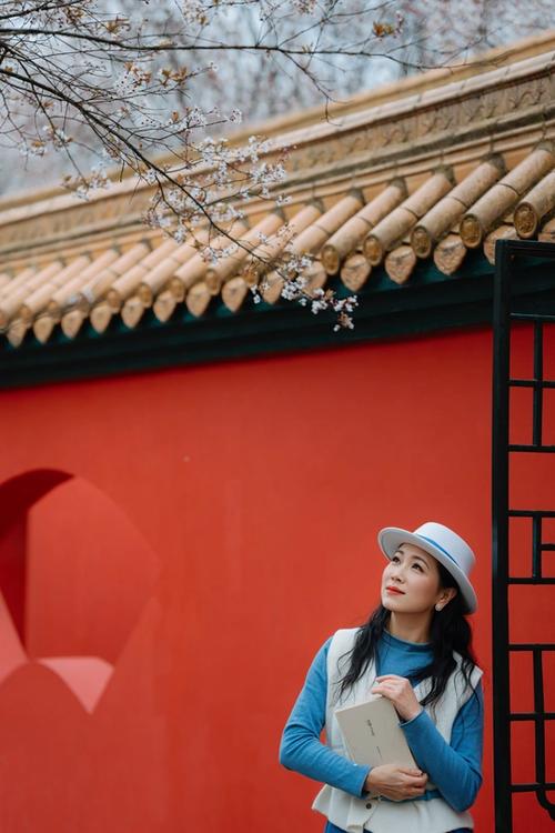 红墙照有什么说法图标