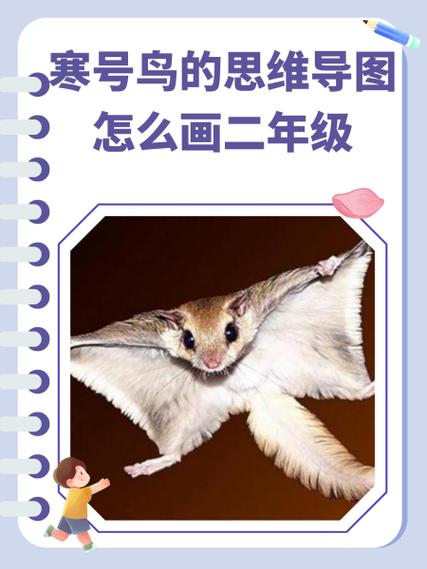 《从图画中》里面幕的意思