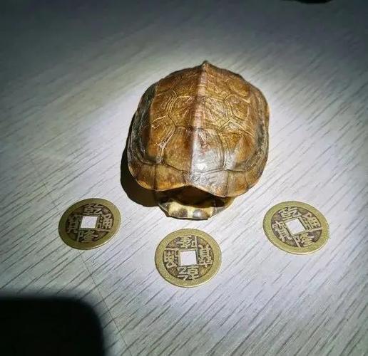 免费占卜可信吗