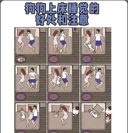 狗爬床最忌三个原因