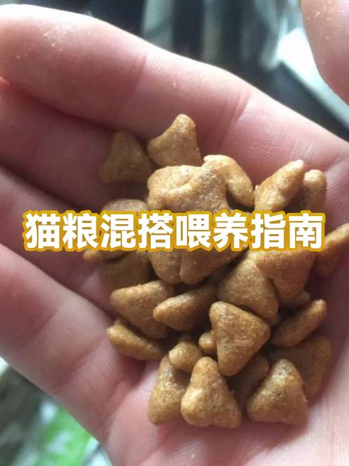 两个月小猫一顿吃几粒猫粮截图