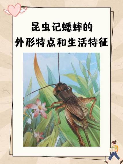 蟋蟀大队最新神秘口令
