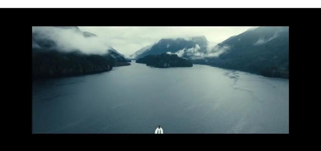 2022上映的电影