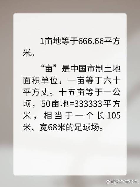 平方与亩换算面积