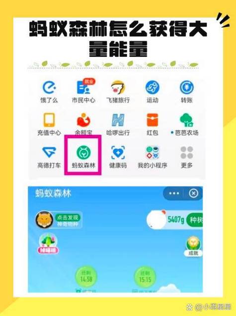 支付宝收能量助手
