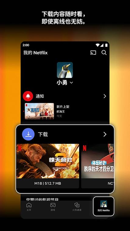奈飞中文版官方图标