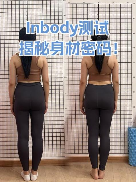 身材测试