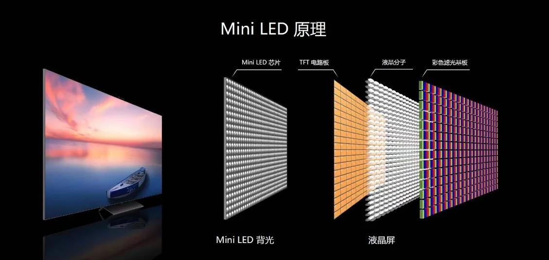 电视miniled和oled屏幕对比