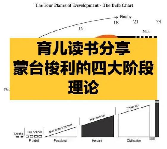 蒙台梭利的关键期理论游戏截图