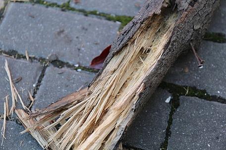 木头断了如何修复图标