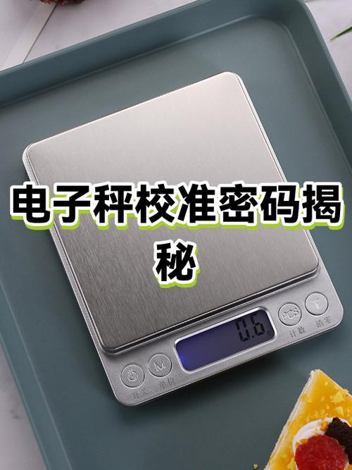 各种电子秤标定密码图标
