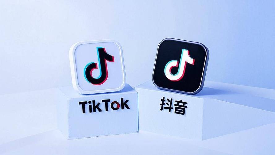 抖音传媒公司