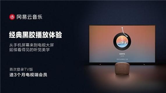 网易云音乐在电视上是什么应用