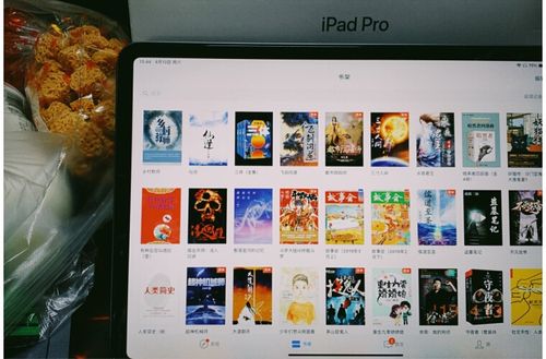 ipadpro吃鸡改120帧教程截图